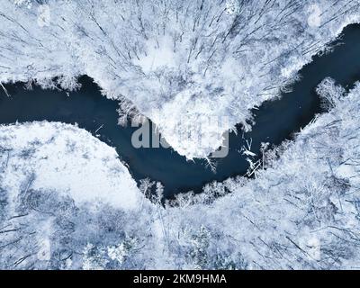 Luftaufnahme des gefrorenen Waldes und des gewundenen Flusses im Winter. Die Bäume sind mit Schnee bedeckt. Stockfoto