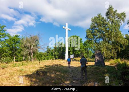 Vogesengebirge: Überqueren Sie Hartmannswillerkopf (Vieil Armand, Hartmannsweiler Kopf), Nationaldenkmal des Ersten Weltkriegs für die Kämpfe, die Stockfoto