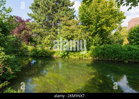 Ruelisheim (Rülisheim): Ill im Elsass, Haut-Rhin (Oberelsass), Frankreich Stockfoto