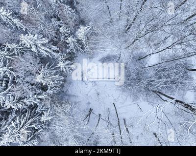 Der schneebedeckte Wald im Winter, Polen. Die Bäume sind mit Schnee bedeckt. Stockfoto