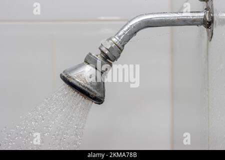 Wasser fließt aus einem alten Duschkopf, der in der Badezimmerwand befestigt ist Stockfoto