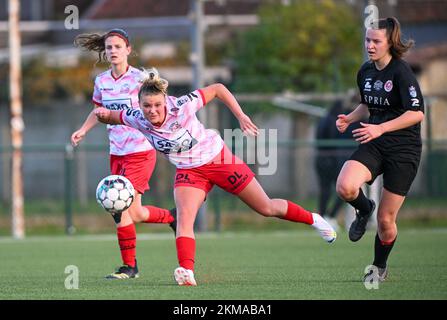 Zulte, Belgien. 26.. November 2022. Imani Prez (11) von Zulte-Waregem in Aktion während eines Fußballspiels zwischen SV Zulte - Waregem und WS Woluwe am 12.. Spieltag der Saison 2022 - 2023 der belgischen Lotto Womens Super League am samstag, den 29. Oktober 2022 in Zulte , Belgien . FOTO SPORTPIX | DAVID CATRY Kredit: David Catry/Alamy Live News Stockfoto