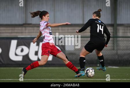 Zulte, Belgien. 26.. November 2022. Amber De Priester (6) von Zulte-Waregem mit Stefanie Deville (14) von Woluwe während eines Fußballspiels zwischen SV Zulte - Waregem und WS Woluwe am 12.. Spieltag der Saison 2022 - 2023 der belgischen Lotto Womens Super League samstag , den 29 . Oktober 2022 in Zulte , Belgien . FOTO SPORTPIX | DAVID CATRY Kredit: David Catry/Alamy Live News Stockfoto