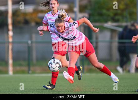 Zulte, Belgien. 26.. November 2022. Imani Prez (11) von Zulte-Waregem in Aktion während eines Fußballspiels zwischen SV Zulte - Waregem und WS Woluwe am 12.. Spieltag der Saison 2022 - 2023 der belgischen Lotto Womens Super League am samstag, den 29. Oktober 2022 in Zulte , Belgien . FOTO SPORTPIX | DAVID CATRY Kredit: David Catry/Alamy Live News Stockfoto
