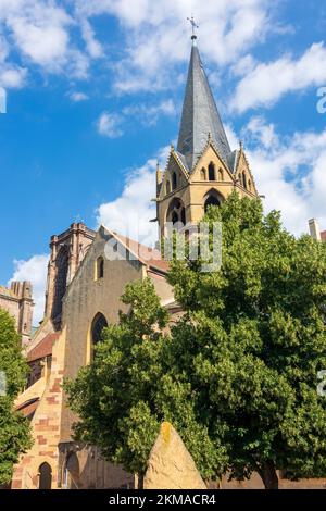 Rouffach (Rufach, Ruffach): kirche Notre-Dame de l’Assomption im Elsass, Haut-Rhin (Oberelsass), Frankreich Stockfoto