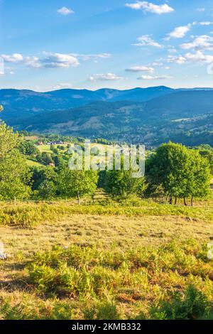 Vogesengebirge: Bauernhäuser am Col du Wettstein, Vogesen-Gebirge im Elsass, Haut-Rhin (Oberelsass), Frankreich Stockfoto