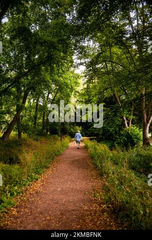 Die Cambridge Back bezieht sich auf die Rückseite der Colleges auf öffentlichen Wegen in der Universitätsstadt Cambridge, England. Stockfoto