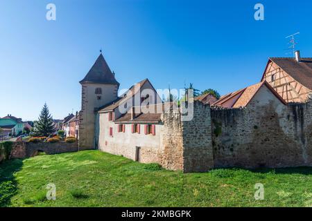 Turckheim (Türkheim): Stadttor Brand (Brand-Tor), Stadtmauer Elsass, Haut-Rhin Oberelsass, Frankreich Stockfoto