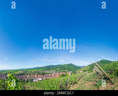 Ribeauville (Rappoltsweiler, Rappschwihr): Stadt Ribeauville (Rappoltsweiler, Rappschwihr), Weinberge, Ruinen von 3 Burgen, Saint-Ulrich, Girsberg und H. Stockfoto