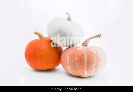Kürbisse auf weiß isoliert mit Schatten und subtiler Reflexion. Reife orangefarbene, gelbe und grüne weiße Kürbisse. Ernte. Stockfoto