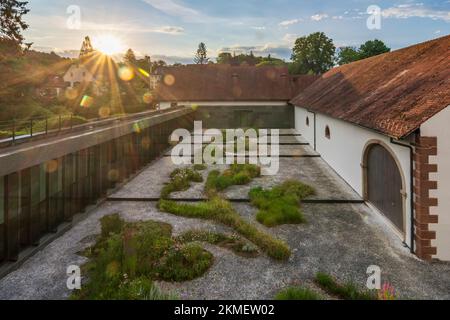 Wingen-sur-Moder (Wingen an der Moder): musée Lalique im Elsass, Bas-Rhin (Unterelsass), Frankreich Stockfoto