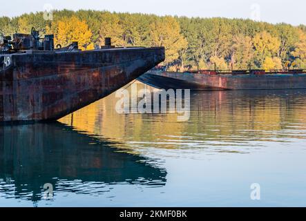 Anker-Tanker auf der Donau. Blick auf die verankerten Tanker an der Donau nahe Novi Sad in Herbstlandschaft. Stockfoto