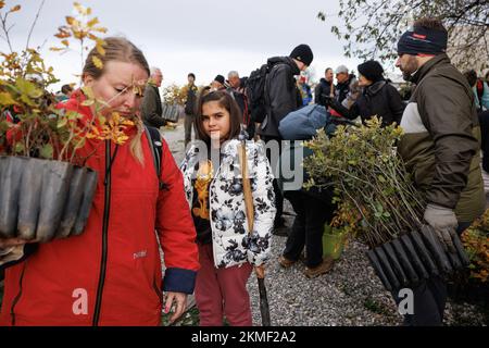 Cerje, Slowenien. 26.. November 2022. Während der ersten von vielen Massenaufforstungsaktionen in der slowenischen Karstregion tragen die Menschen Bäume mit sich. Die Wälder der Region sind schwer beschädigt, nachdem im Juli ein großer Waldbrand rund 3500 Hektar Land verbrannt hat. Über 800 Freiwillige, jung und alt, nahmen an der Pflanzung neuer Bäume Teil. (Foto: Luka Dakskobler/SOPA Images/Sipa USA) Guthaben: SIPA USA/Alamy Live News Stockfoto