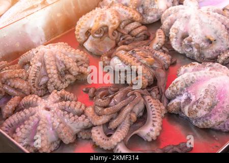 Frisch gefangener Krake vulgaris auf dem Fischmarkt Stockfoto