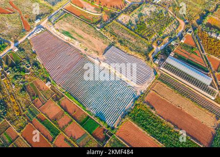 Luftaufnahme der verschiedenen Felder von Pflanzen und Gewächshäusern. Konzept des agro-industriellen Komplexes Stockfoto