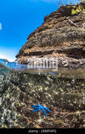 Blick über und unter dem Wasser auf den pazifischen Ozean und die tropische Insel Stockfoto