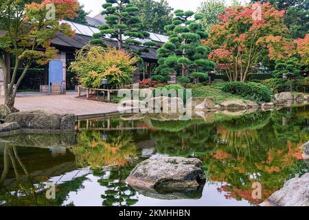 Gartenpfad im japanischen Garten mit japanischen Ahornholz - Herbst kommt nach Hamburg. Reflexionen in Teichen und Topiarkiefern. Dieser Pis ist Teil von Botanic Stockfoto