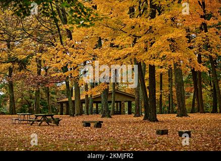 Ein Erholungs- oder Picknickbereich in Titusville, NJ, USA, im Washington Crossing State Park mit wunderschönen Herbstbäumen. An der Stelle von George Washingtons Kreuzung. Stockfoto