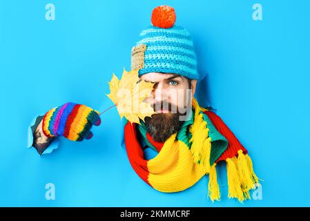 Ein ernster Mensch versteckt sich durch herbstliche Ahornblätter. Bärtiger Mann mit farbenfroher Mütze, Schal und Handschuhen. Stockfoto