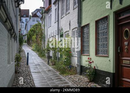 Flensburger Altstadt, typische schmale Gasse zwischen kleinen Stadthäusern mit Rosen an den Fassaden im Kopfsteinpflaster, Touristenziel, ausgewählter Fokus, Stockfoto