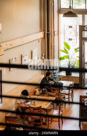 Business Coffee Shops in Seattle Washington Capitol Hill Stockfoto