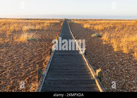 England, Kent, Dungeness, Holzsteg am Kieselstrand Stockfoto