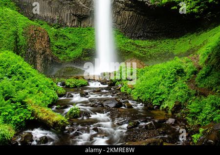 Latourell Falls in der Columbia River Gorge in Oregon Stockfoto