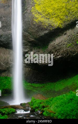 Latourell Falls in der Columbia River Gorge in Oregon Stockfoto