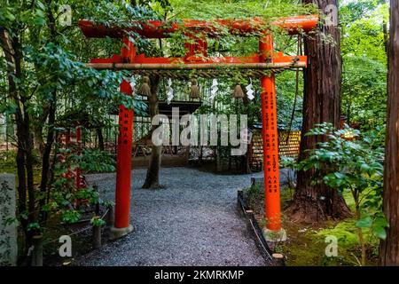 Nonomiya-jinja-Schrein bei Nacht im Arashiyama Bambuswald Touristenpark Attraktion. Übersetzung: Namen der Sponsoren, die diesem Schrein gespendet wurden - Benkei Stockfoto