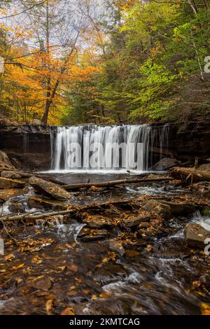 Oneida Falls im Herbst, Ricketts Glen State Park, Pennsylvania Stockfoto