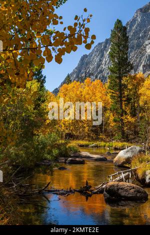 Rock Creek im Herbst, Sierra Nevada Mountains, Mono County, Kalifornien Stockfoto