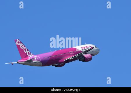 Präfektur Chiba, Japan - 29. Oktober 2021: Peach Airbus A320-200 (JA814P) Passagierflugzeug. Stockfoto