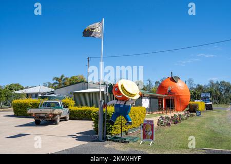 Das Big Orange Cafe and Tourist Information Centre, Gayndah, North Burnett, Queensland, Australien Stockfoto