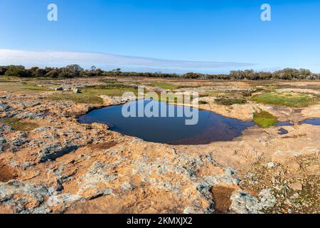 Boundary Riders Waterhole, Rabbit Proof Fence, Western Australia Stockfoto