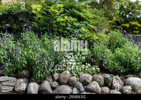 Kleine Details über die Natur der Stadt Turin Stockfoto