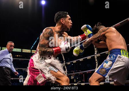 Carson, Kalifornien, USA. 26.. November 2022. Fernando Vargas Jr. aus Oxnard, CA (7-0 7 Kos Pink Shorts) im Kampf gegen Alejandro Martinez. Vargas Junior gewann den Kampf mit 2. K.O.-Punkten. (Kreditbild: © Adam DelGiudice/ZUMA Press Wire) Kredit: ZUMA Press, Inc./Alamy Live News Stockfoto