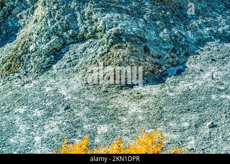 Blaues Kupfersulfat Gelbe Büsche Arches Nationalpark Moab Utah USA Southwest Copper Sulfate zur Herstellung von Kupfer und anderen Produkten Stockfoto