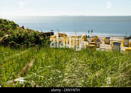 Gelbe Liegestühle und Schlammgebiete, Duhnen, Cuxhaven, Nordsee, Niedersachsen, Deutschland, Europa Stockfoto