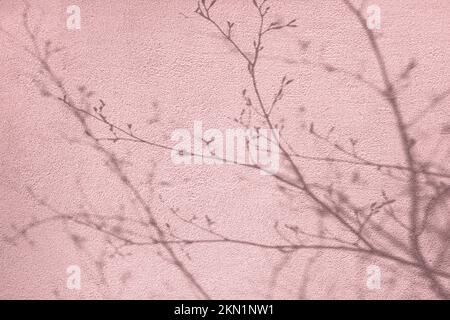 Schatten von Baumstämmen mit Knospen an rosa Betonwänden Stockfoto