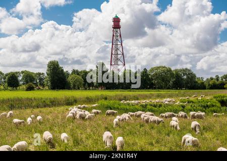 Campen Lighthouse, höchster Leuchtturm in Deutschland, Krummhörn, Ostfriesien, Nordsee, Niedersachsen, Deutschland, Europa Stockfoto