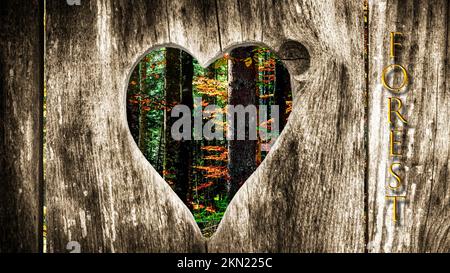 Blick durch ein hölzernes Herz in einem Wald Stockfoto