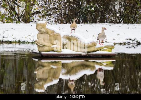 Zwei ägyptische Gänse (Alopochen aegyptiacus) stehen auf einer schneebedeckten Steinskulptur, Wasserreflexion, Hessen, Deutschland, Europa Stockfoto