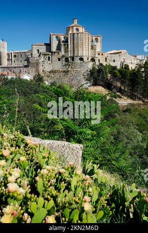 Blick auf Irsina, Landschaft um Irsina, Provinz Matera, Region Basilicata, Italien, Irsina, Basilicata, Italien, Europa Stockfoto