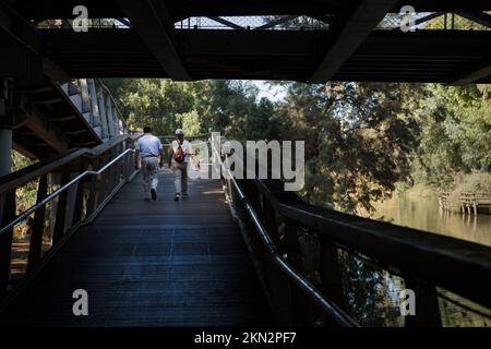 Menschen, die auf einer Fußgängerbrücke im Yarkon Park, Tel Aviv, israel, spazieren Stockfoto