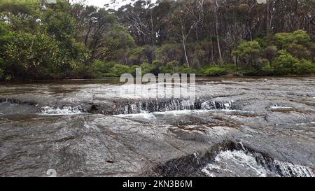 Der Torfbraune Kangaroo River in Robertson NSW Stockfoto