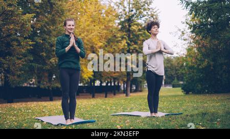 Zwei gut aussehende junge Frauen machen Yoga im Park auf Matten, üben Asanas und atmen frische Luft. Einzelpraxis, Fachlehrer und Naturbegriff. Stockfoto