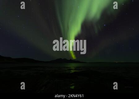 Aurora Borealis in Norwegen, Bodø, Mjelle auf der Suche nach den Nordlichtern an einem Abend im November. Endlich zeigte es sich mir. Stockfoto