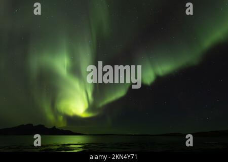 Aurora Borealis in Norwegen, Bodø, Mjelle Stockfoto