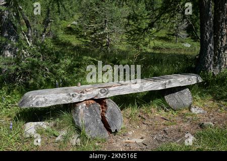 Eine alte riesige Bank am Waldrand Stockfoto