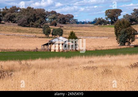 Orange Australien, Blick über trockenes Gras und Heuballen Stockfoto